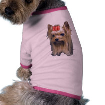 Yorkshire Terrier pet clothing