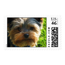 Yorkshire Terrier Dog Stamp