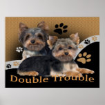 Yorkshire Terrier Double Trouble Prints