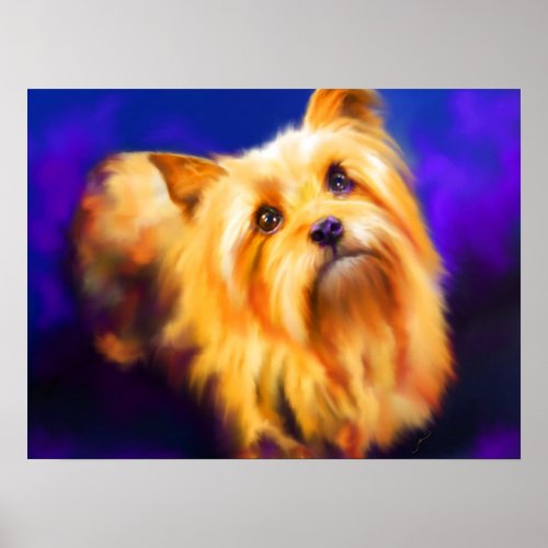 Yorkshire Terrier Fine Art Print print