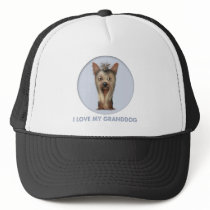 Yorkshire Terrier Granddog hats