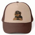 Yorkshire Terrier Hat by petpupz Yorkshire Terrier Hat