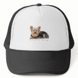 Yorkshire terrier hats