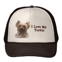 Yorkshire Terrier Hat