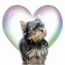 Yorkshire Terrier Heart photo sculptures by moondreams Yorkshire Terrier Heart photo sculptures