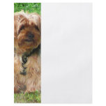 Yorkshire Terrier in Park flyers
