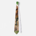 Yorkshire Terrier in Park tie