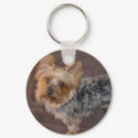 Yorkshire Terrier keychain