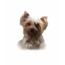Yorkshire Terrier Kids T-Shirt by normagolden Yorkshire Terrier Kids T-Shirt