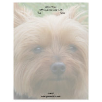 Yorkshire Terrier letterhead