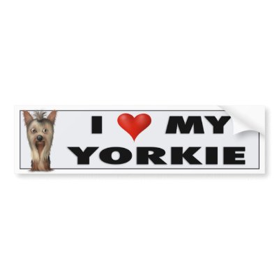 Yorkshire Terrier Love Sticker Bumper Sticker by cartoondogs