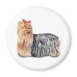 Yorkshire Terrier Refrigerator Magnets