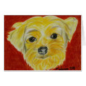 Yorkshire Terrier - Max cards by dogportraitsbymel Yorkshire Terrier - Max cards