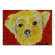 Yorkshire Terrier - Max cards by dogportraitsbymel Yorkshire Terrier - Max cards