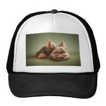 Yorkshire Terrier Mesh Hats