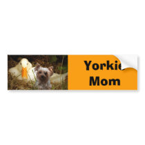 Yorkshire Terrier Mom Bumper Sticker bumper stickers by normagolden Yorkshire Terrier Mom Bumper Sticker bumper stickers