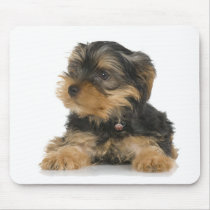 Yorkshire Terrier Mousepad mousepads