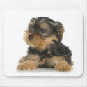 Yorkshire Terrier Mousepad by petpupz Yorkshire Terrier Mousepad