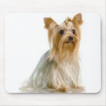 Yorkshire Terrier Mousepad mousepads