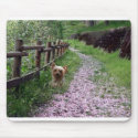 Yorkshire Terrier Mousepad Garden by normagolden Yorkshire Terrier Mousepad Garden