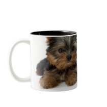 Yorkshire Terrier Mugs