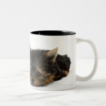 Yorkshire Terrier Mugs