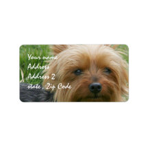Yorkshire Terrier Personalized Address Label