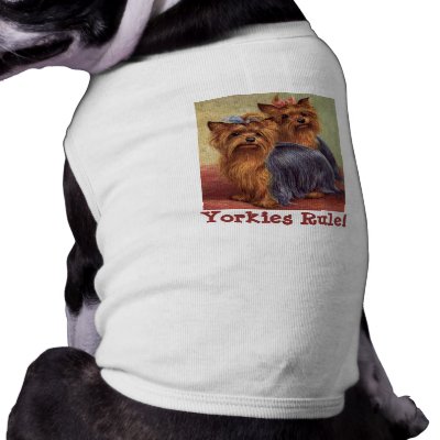 Yorkie Clothes on Yorkshire Terrier Pet Clothing From Zazzle Com