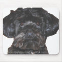 Yorkshire Terrier-Poodle Mix mousepads