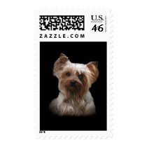 Yorkshire Terrier Postage