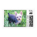 Yorkshire Terrier postage by slaxelson Yorkshire Terrier postage