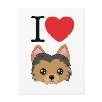 Yorkshire Terrier Postcard