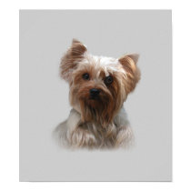 Yorkshire Terrier Poster posters