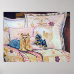 Yorkshire Terrier Poster Print