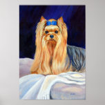 Yorkshire Terrier Print Poster