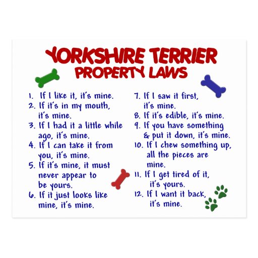 YORKSHIRE TERRIER Property Laws 2 Yorkie Postcard