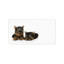 Yorkshire Terrier Puppies Address Label