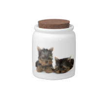 Yorkshire Terrier Puppies Candy Jar