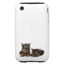 Yorkshire Terrier Puppies iPhone 3 Tough Covers