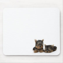 Yorkshire Terrier Puppies Mousepad
