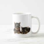 Yorkshire Terrier Puppies Mug