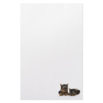 Yorkshire Terrier Puppies Stationery