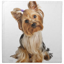 Yorkshire Terrier Puppy Cloth Napkin