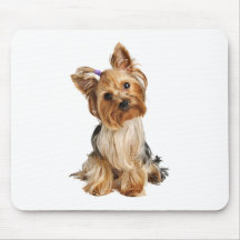 Yorkshire Terrier Puppy Mousepads