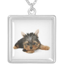 Yorkshire Terrier Puppy Necklace