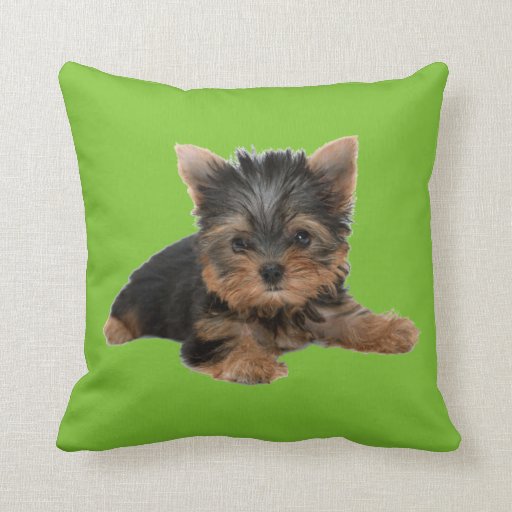 Yorkshire Terrier Puppy Throw Cushion Zazzle