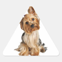 Yorkshire Terrier Puppy Triangle Stickers