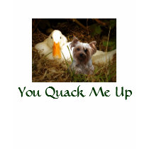 Yorkshire Terrier T-Shirt With Duck