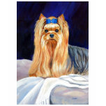 Yorkshire Terrier Tee Shirt