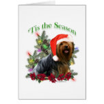 Yorkshire Terrier ‘Tis Greeting Cards